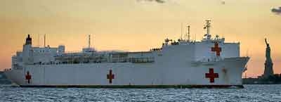 USNS Comfort Statue of Liberty400