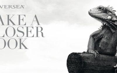 FEEL THE SPIRIT OF SILVERSEA